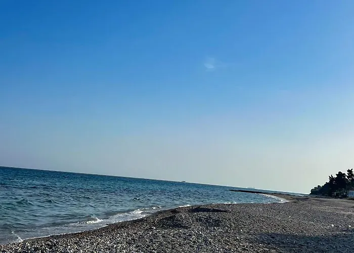 Vana * Posidi